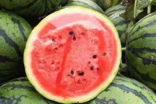 吃瓜掉皮的后果,揭秘瓜皮危害