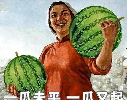 瓜哥吃瓜奥运,揭秘赛场背后的精彩故事