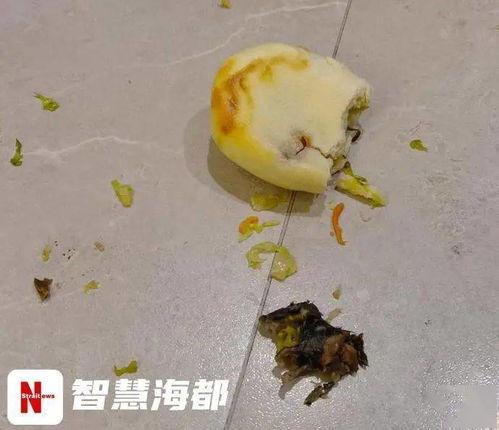 备孕吃老鼠瓜,老鼠瓜助力健康生育，揭秘其神奇功效