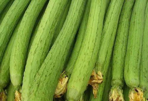 芦葫瓜怎么吃,探索美味与健康的完美结合