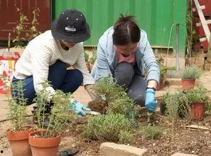 绅士花园吃瓜,瓜香四溢，品味非凡的休闲时光