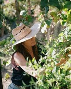 绅士花园吃瓜,瓜香四溢，品味非凡的休闲时光