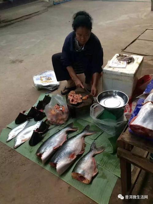 普洱头条吃瓜,揭秘吃瓜群众的狂欢盛宴