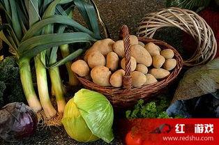 臭屁弹吃瓜,揭秘网络热梗背后的趣味与争议