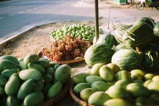 广西1998吃瓜,那一年，瓜田里的故事与变迁