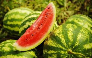 正宗吃瓜视频,带你领略网络娱乐新风尚