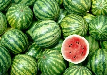 66吃瓜深圳,揭秘深圳的美食与娱乐盛宴