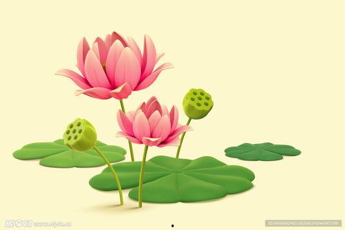 莲花楼动漫图片吃瓜,动漫美食图鉴，一图一瓜，揭秘幕后故事