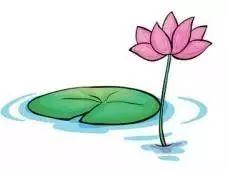 莲花楼动漫图片吃瓜,动漫美食图鉴，一图一瓜，揭秘幕后故事