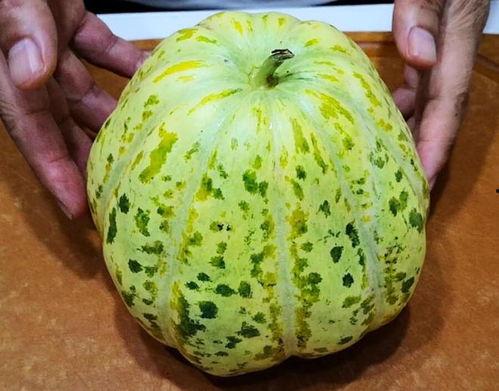 促排可以吃瓜,甜蜜瓜果助力好“孕”成真