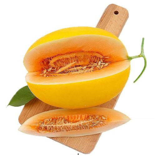 吃了保和丸可以吃蜜瓜吗