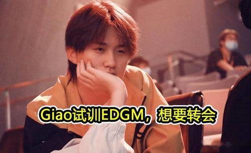 吃瓜浅笑后续,揭秘娱乐圈背后的秘密与真相