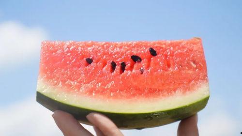 起床吃的瓜,开启美好一天