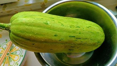 吃最新鲜的瓜,尽享最新鲜的瓜果美味