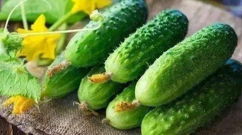 吃最新鲜的瓜,尽享最新鲜的瓜果美味