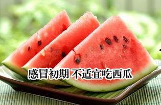 感冒吃老瓜,轻松应对感冒困扰