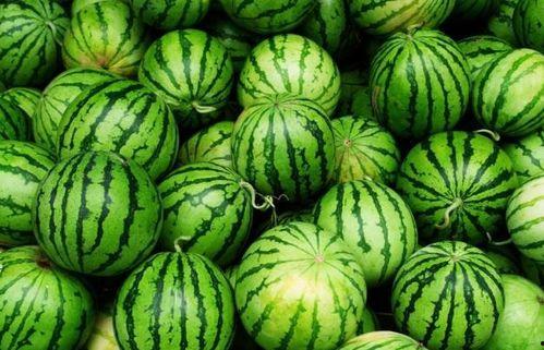 吃瓜第四弹,揭秘娱乐圈最新热点事件背后的真相