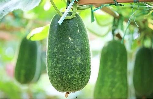 吃瓜第四弹,揭秘娱乐圈最新热点事件背后的真相