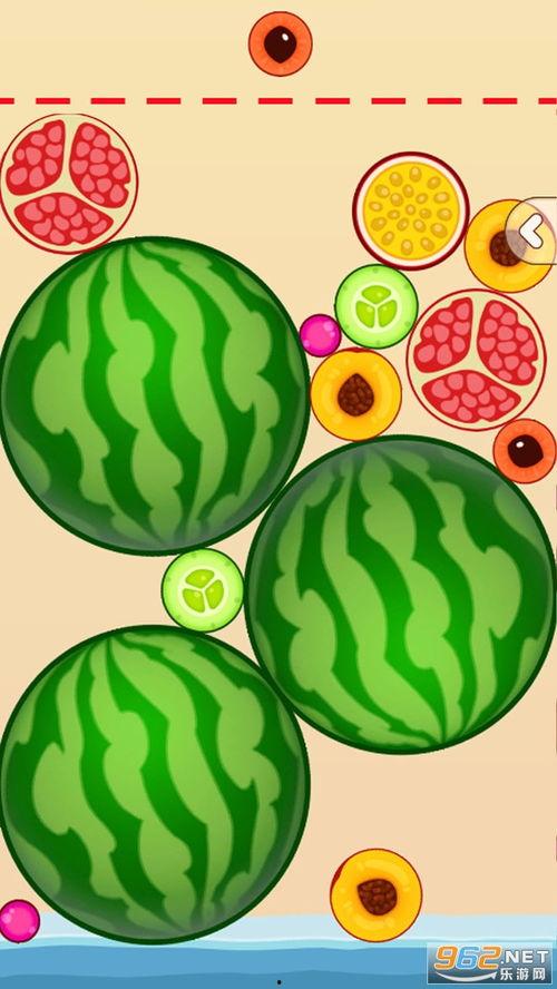 乙游新吃瓜,揭秘网络迷因的狂欢与争议