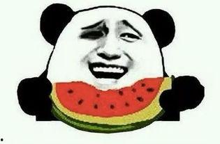 励志吃瓜的麻瓜,励志吃瓜者的成长之路