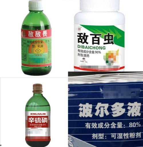 吃瓜专用药水,揭秘网络热传神秘饮品背后的真相