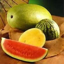 瓜酱吃西瓜,夏日消暑新风尚