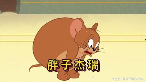 杰瑞侧立吃瓜,趣味横生一幕再现