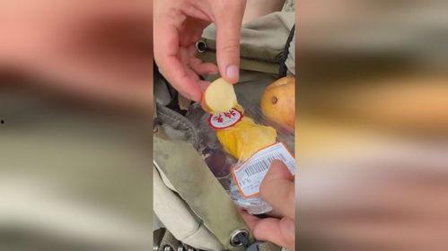 女子喂猴子吃瓜,女子喂猴子吃瓜温情瞬间