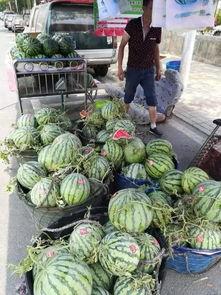 长沙公社吃瓜事件,一场网络热议的社区冲突揭秘