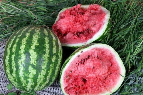 免费吃瓜地址在哪,一网打尽各大热门瓜源地址