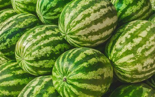 免费吃瓜地址在哪,一网打尽各大热门瓜源地址