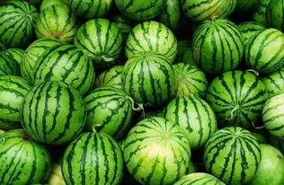 永年ktv吃瓜群,一场娱乐界的风云际会