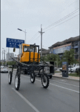 梳头吃瓜gif,笑看人生百态