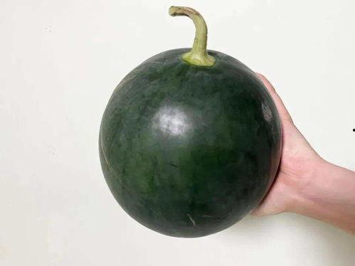 可以吃大瓜吗,揭秘“吃大瓜”背后的娱乐真相与网络文化现象