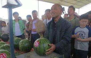 易县吃瓜群众,揭秘当地生活百态