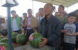 港城吃瓜群众,揭秘娱乐圈最新热点事件！