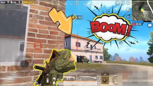 呆瓜熊吃鸡,呆瓜熊的欢乐吃鸡之旅