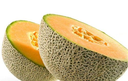 突破生理极限吃瓜,揭秘突破生理极限的惊人吃瓜记录