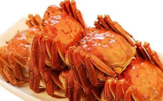 农瓜和螃蟹吃,田园与海洋的美食交响曲