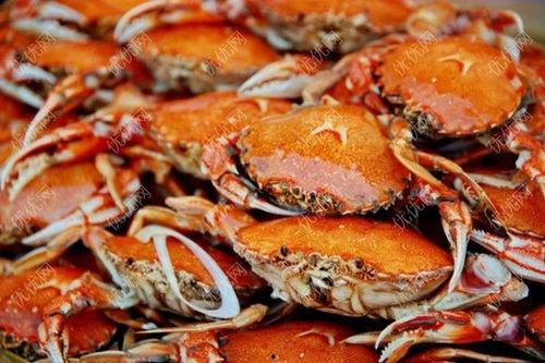 农瓜和螃蟹吃,田园与海洋的美食交响曲