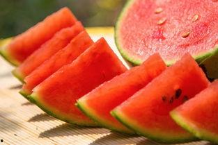 吃瓜西科大,一场校园文化的盛宴