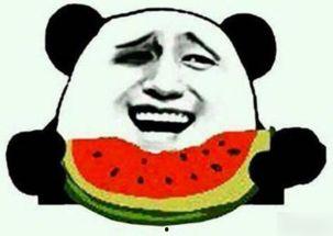 直爽吃瓜大叔是谁呀,网络红人的魅力与影响力