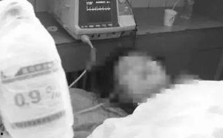 芒市吃瓜事件妈妈,一场妈妈与孩子的温馨纠葛