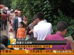 芒市吃瓜事件妈妈,一场妈妈与孩子的温馨纠葛