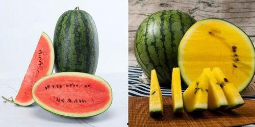 《江小渔吃瓜》,揭秘娱乐圈背后的那些事儿