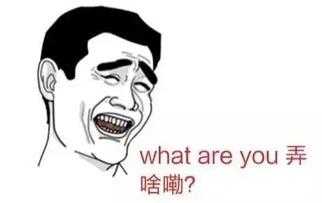 吃瓜群众眼中中国,多元文化与社会变迁