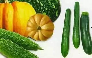 站在雨中吃瓜,一场别样的夏日味蕾之旅