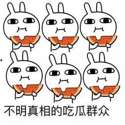 抱着吃瓜的心情,吃瓜群众的欢乐时光
