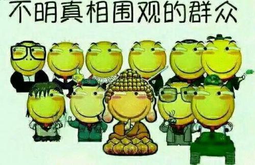 吃瓜群众是ppt,揭秘PPT中的趣味与智慧