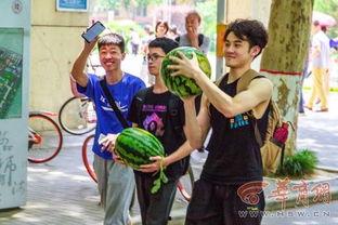 巢湖学院吃瓜,吃瓜群众揭秘校园热点事件